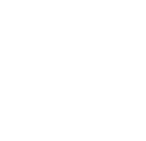 logo white Paradox booking agency - paradox-music.fr