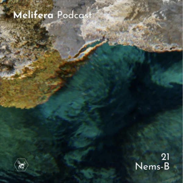 Cover of Melifera's podcast number 21 with NEMS-B